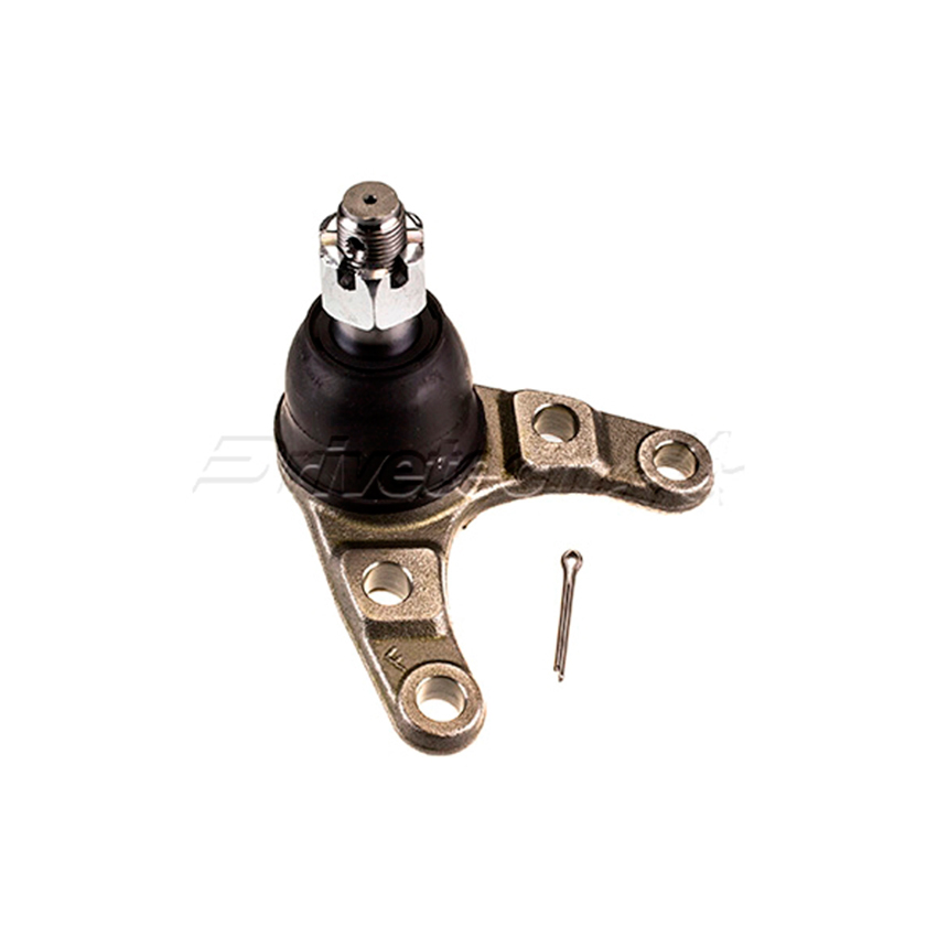 Ball Joint Front Right Lower for FORD RANGER PK - 038-150220