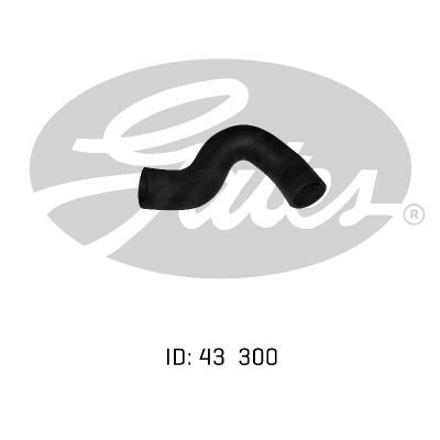 Gates Radiator Hose For Jaguar XJ 6 4.2L XK 4.2 (82-87), ( -79) Sedan