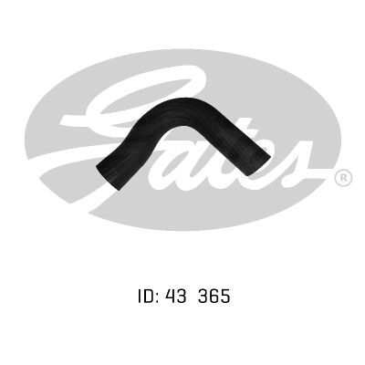 Gates Radiator Hose For Chrysler Valiant VG, VH, VJ, VK, CL, CM 4.0L/4.3L D245