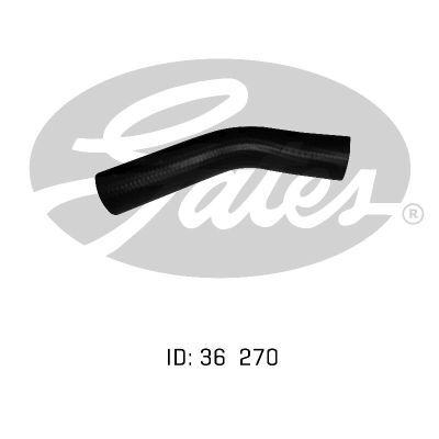 Gates Radiator Hose Upper Lower - 05-0884