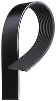 Gates V-ribbed Belt For Man Lion´S City  Lions City, A37 6.9L 206KW Diesel