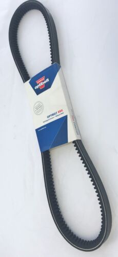 Optibelt  V-Ribbed Belt -  15Ax1615