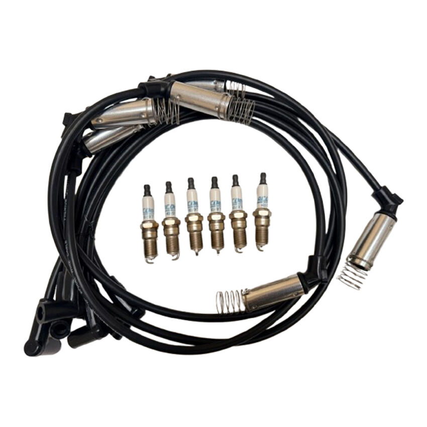 Ignition Leads & Double Platinum Plugs For Holden Statesman WH WK 3.8L LN3 L36