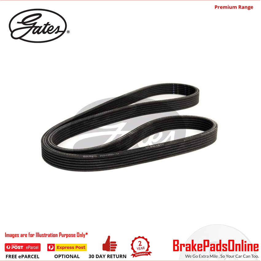 Gates V-Ribbed Belt For BMW - 6DPK1817