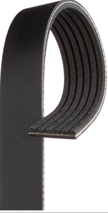 Gates V-ribbed Belt For Ford Transit/Custom  VO VN 2.0L YNF6 BLFB YMF6 Diesel