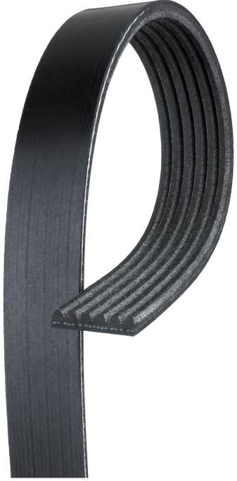 Gates V-ribbed Belt For Ford Ecosport BK BL 1.0L M1JC SUV Petrol