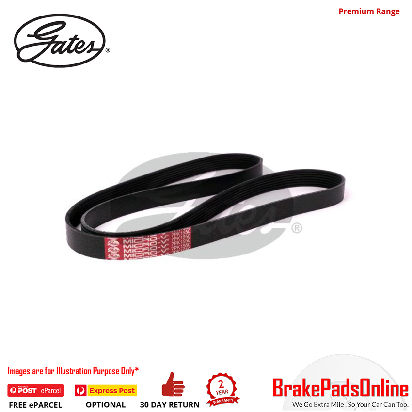 V-Ribbed & Micro Belt For Lexus, Toyota - 8552-3184