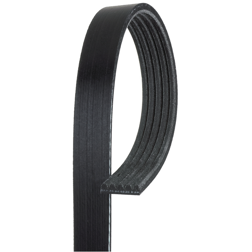 5PK1325 / K050520 MV AT V-Ribbed AT Belts 8552-0013