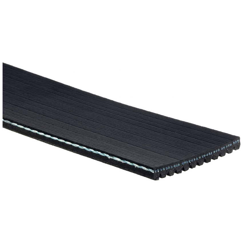 12PK1015 / K120400 MV AT V-Ribbed AT Belts 8552-0036
