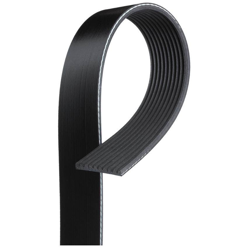 Gates V-Ribbed Belt - 8552-0739