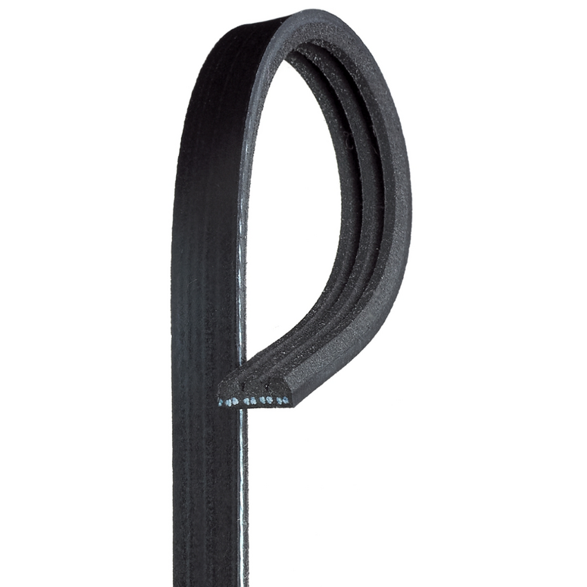 3PK865 / K030340 MV AT V-Ribbed AT Belts 8552-2029