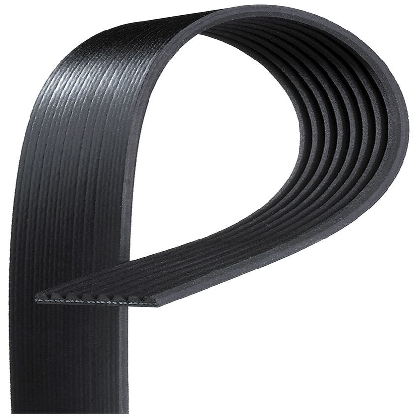 Gates V-Ribbed Belt - 8552-2073