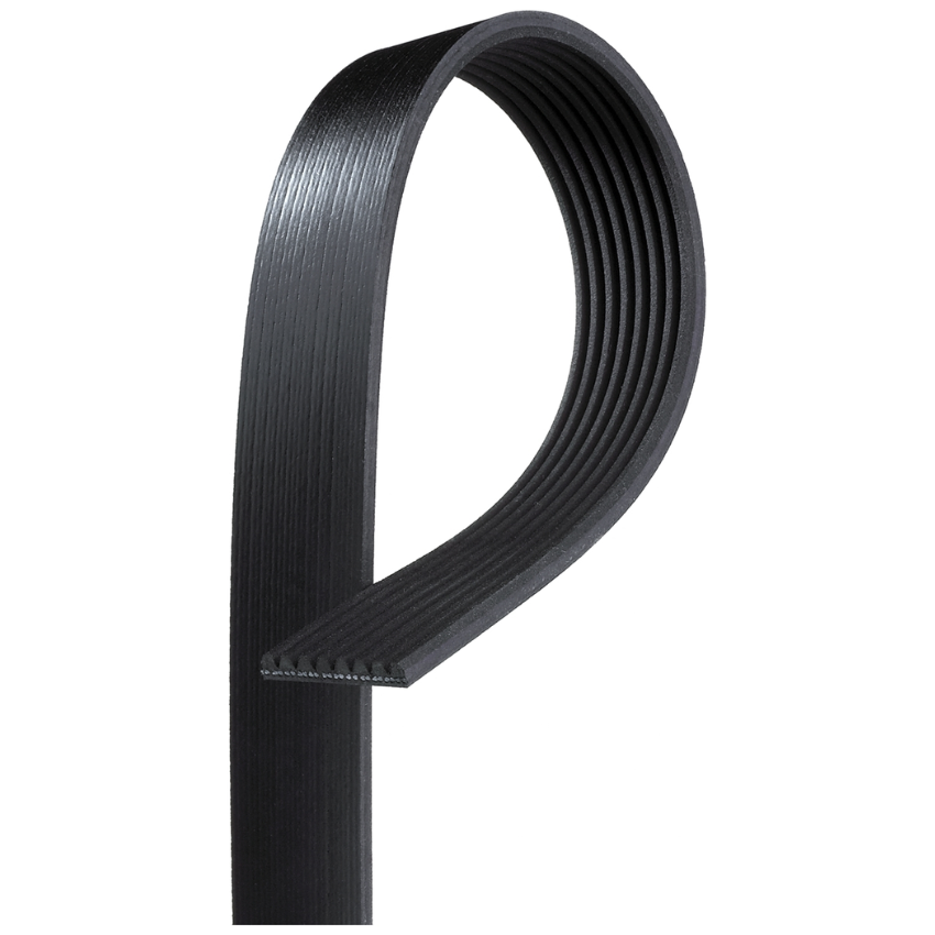 8PK1105 / K080435 MV AT V-Ribbed AT Belts 8552-2125