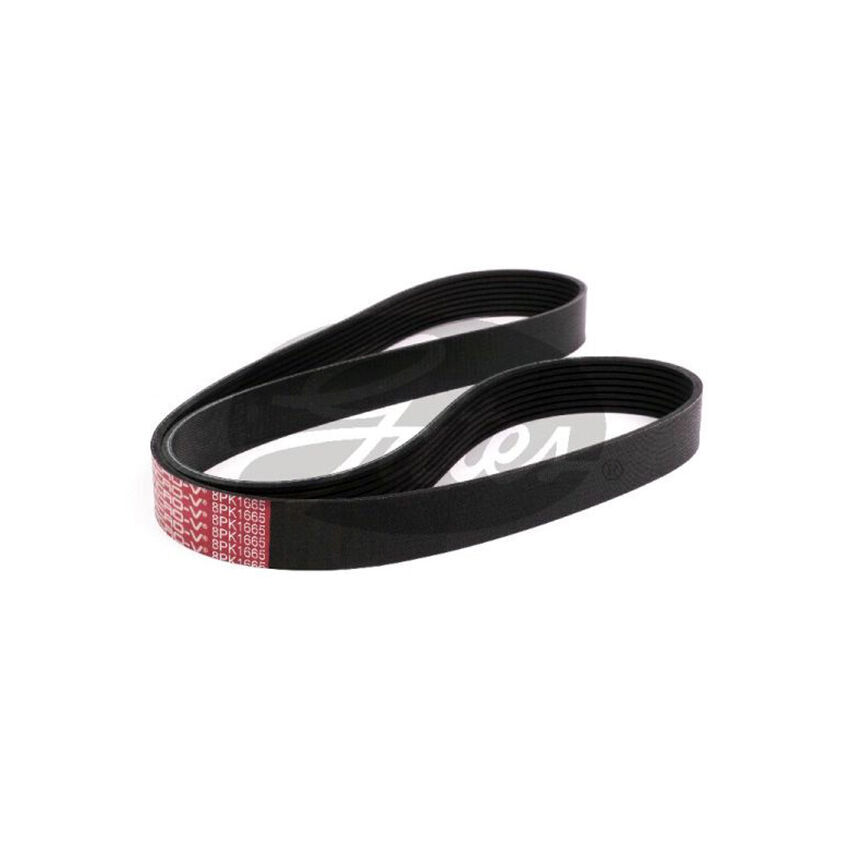 8PK1665 / K080655 MV AT V-Ribbed AT Belts 8552-2257