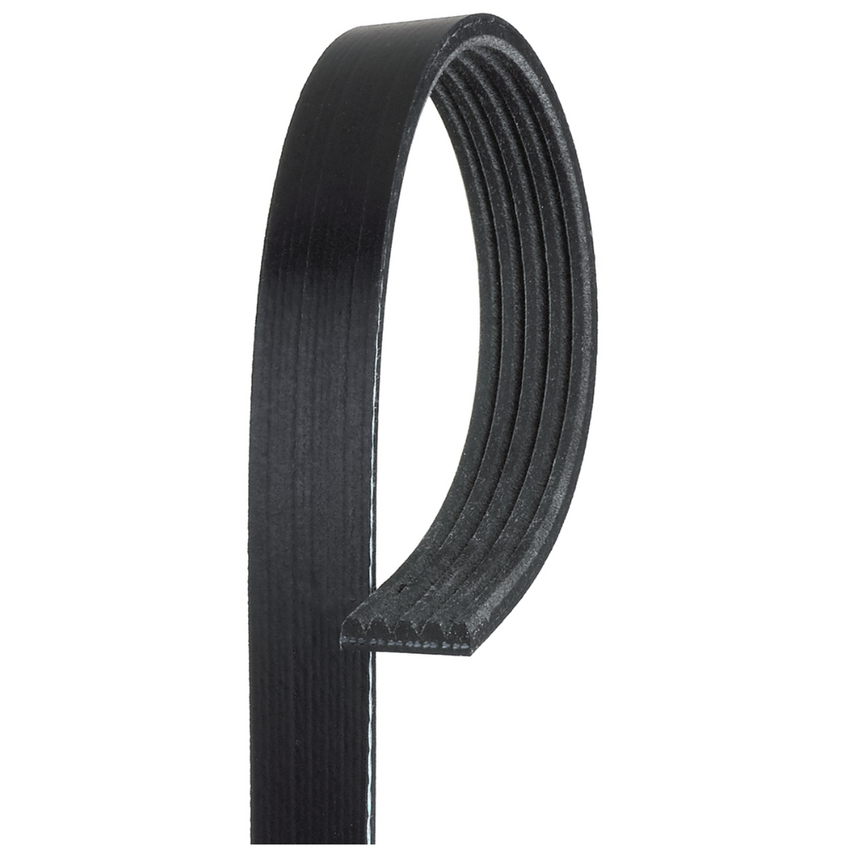 5PK1615 / K050635 MV AT V-Ribbed AT Belts 8552-2348