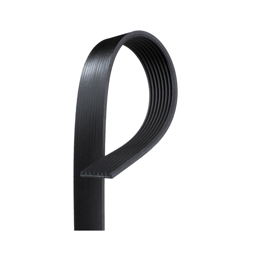 8PK1510 / K080594 MV AT V-Ribbed AT Belts 8552-2486