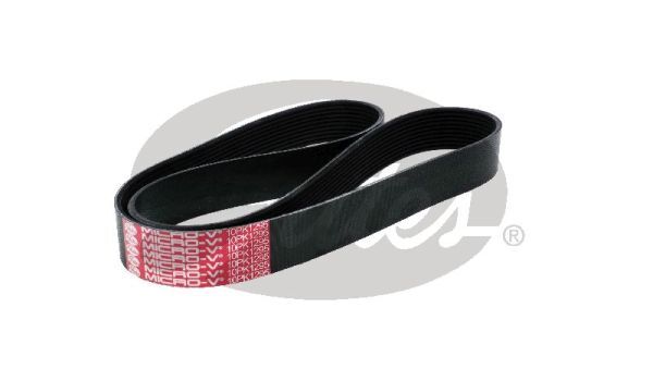 Gates V-Ribbed Belt - 10PK1295