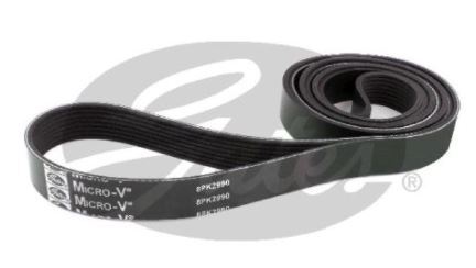 Gates Micro V-Ribbed Belt - 8552-2776