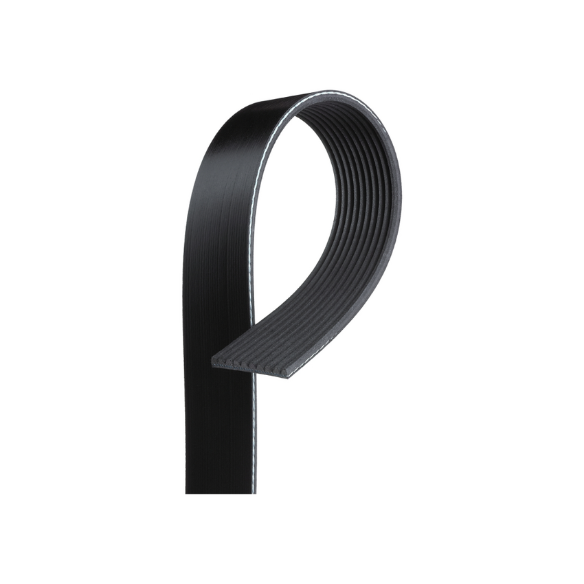 10PK1275 / K100502 MV AT V-Ribbed AT Belts 8552-3087