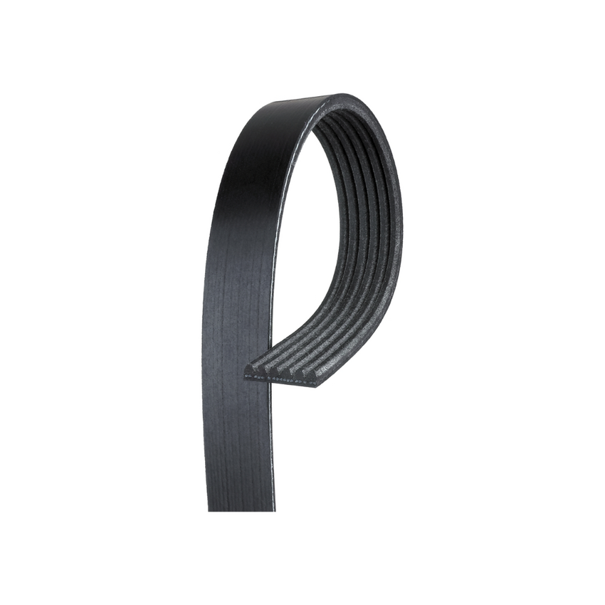6PK2180 / K060858 MV AT V-Ribbed AT Belts 8554-0395