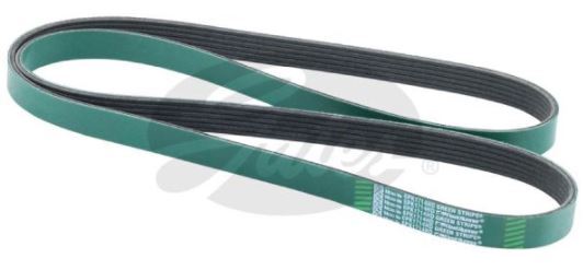 Gates V-Ribbed Belt - 8555-0044