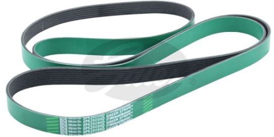 Gates Fleetrunner Microv-Ribbed Belt - 8555-01002