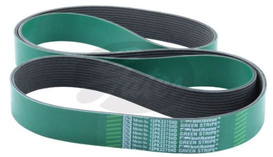 Gates Fleetrunner Micro-V-Ribbed Belt - 8555-0321