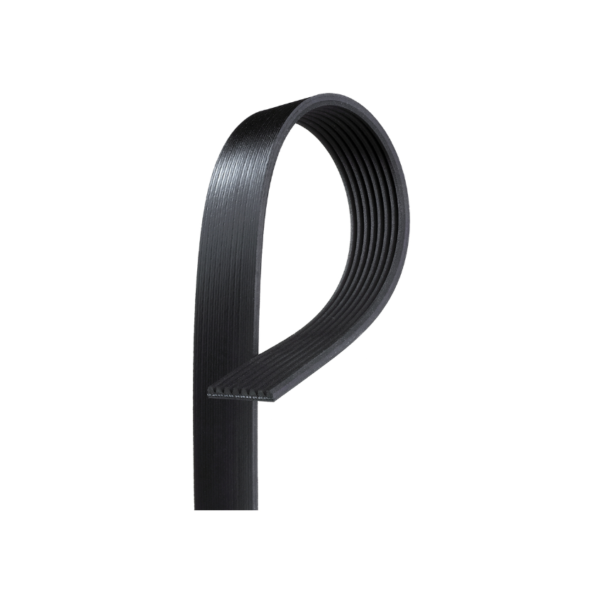 8PK1445 / K080570 MV AT V-Ribbed AT Belts 85B8-1445B