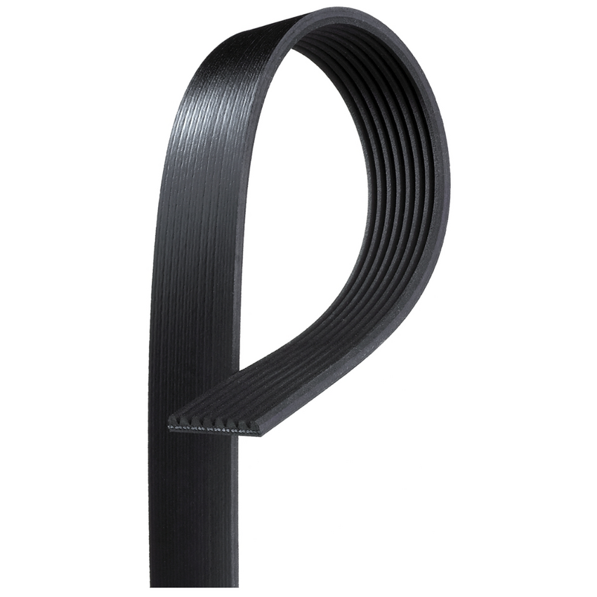 8PK1560 / K080615 MV AT V-Ribbed AT Belts 85B8-1560B
