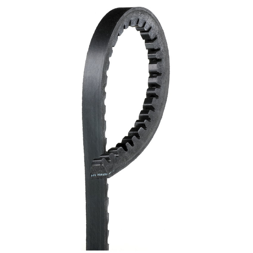 9495/13A1255 BELT HD Green Stripe Drive Belts 8701-9495