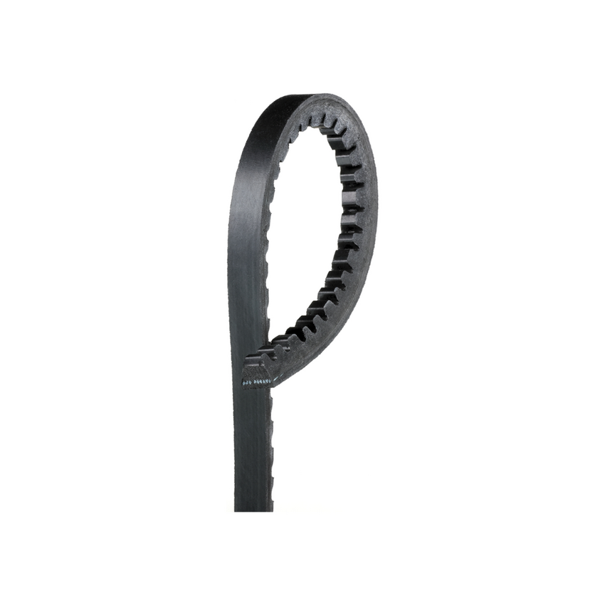 9745/13A1890 BELT HD Green Stripe Drive Belts 8701-9745