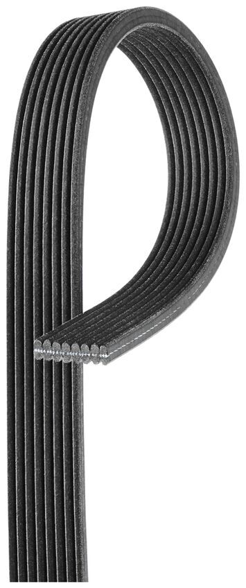 Gates Powergrip Timing Belt For Land Rover Range Rover Sport L320 4.2L 428PS