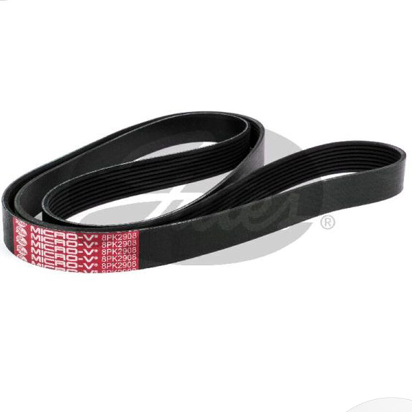 Gates V-Ribbed Belt - 8552-2833