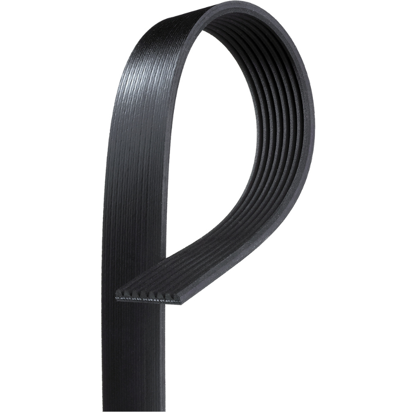 Gates V-Ribbed Belt - 85B8-0915B
