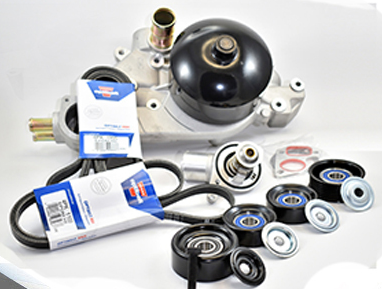 Water Pump belts and Pulleys for Commodore 5.7 V8 LS1 Gen3 VT VU VX VY WH WK WL