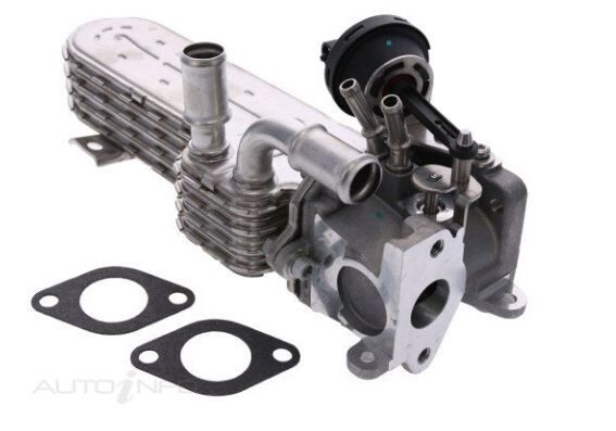 PAT EGR Cooler For VOLKSWAGEN GOLF 2.0 TDI MK5 4DR 2.0L BKD I4 16V 