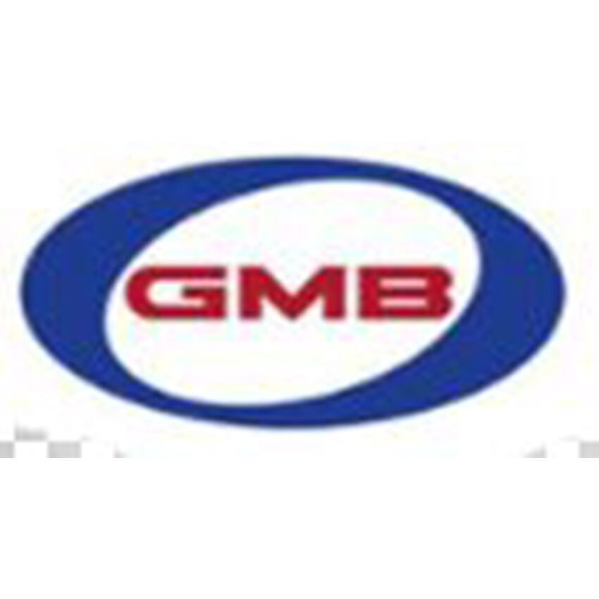 GMB Universal Joint - UJ114-2111