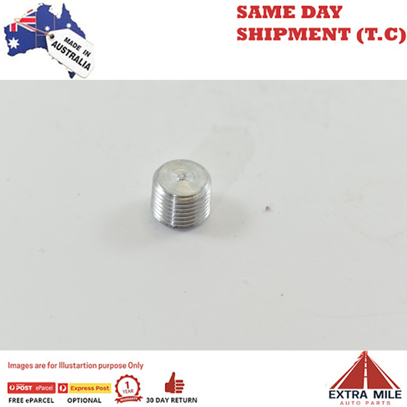 PIPE ALLEN SOCKET PLUG 1/8 White