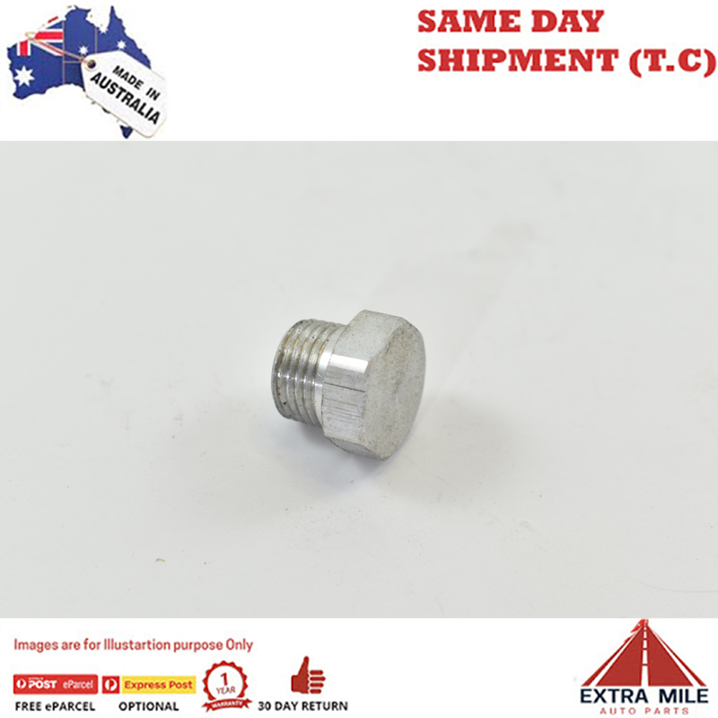 PIPE HEX PLUG 1/8 White