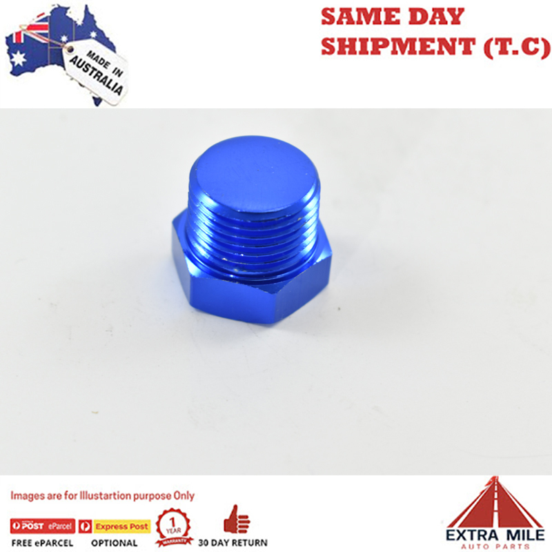 PIPE HEX PLUG 3/8 Blue