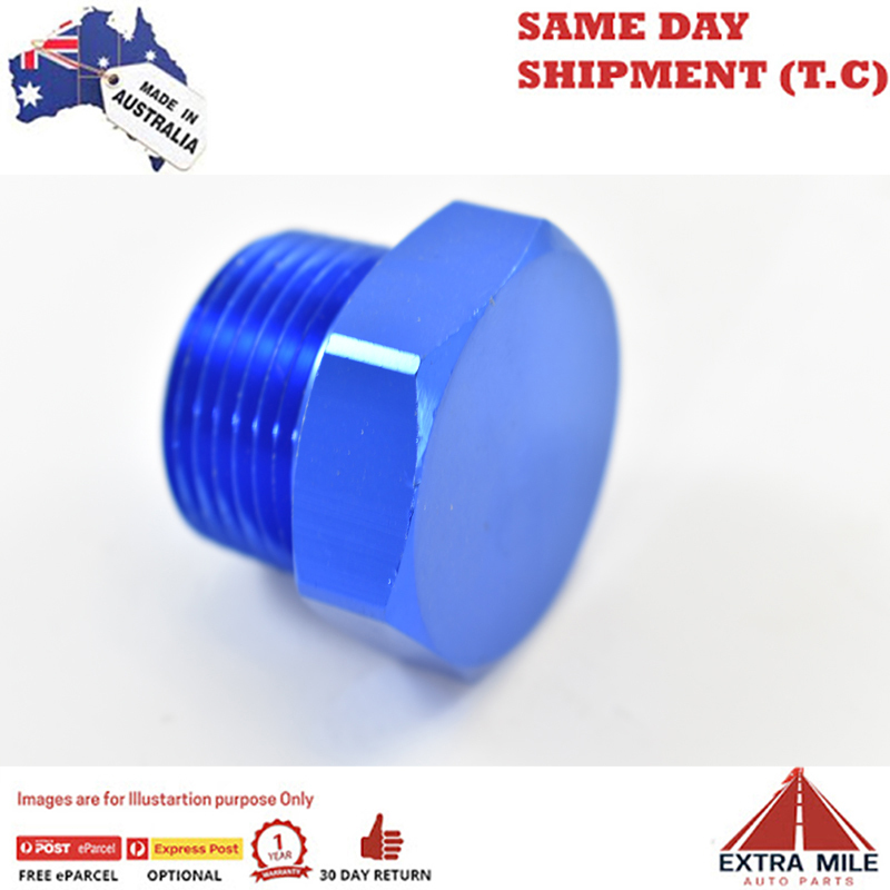PIPE HEX PLUG 3/4 Blue
