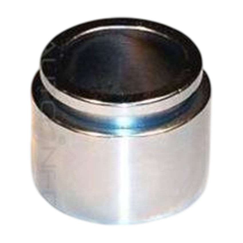 PROTEX Disc Caliper Piston - Rear For VOLVO 850  4D Sdn FWD 1992 - 1996