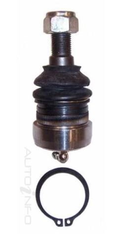 Protex Ball Joint - Front Lower For NISSAN PINTARA R31 4D Sdn RWD 1986 - 1989