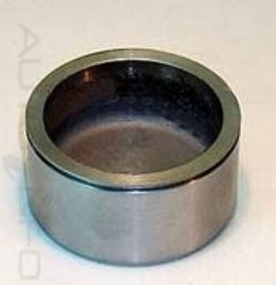 PROTEX Disc Caliper Piston- Front For HOLDEN PREMIER HD 4D Sdn RWD 1965 - 1966