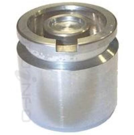 PROTEX Disc Caliper Piston - Rear For FORD FALCON XG 2D Ute RWD 1993 - 1996