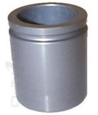 PROTEX Disc Caliper Piston - Rear For HOLDEN CAPRICE WH 4D Sdn RWD 1999 - 2003