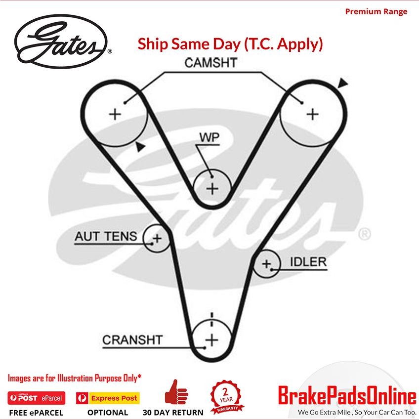 Timing Belt T1015 for KIA Carnival MK I FL