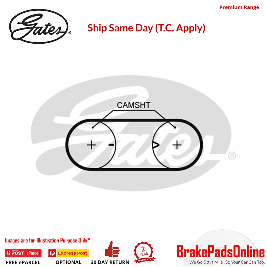 Timing Belt T1083 for MG F RDWBTN