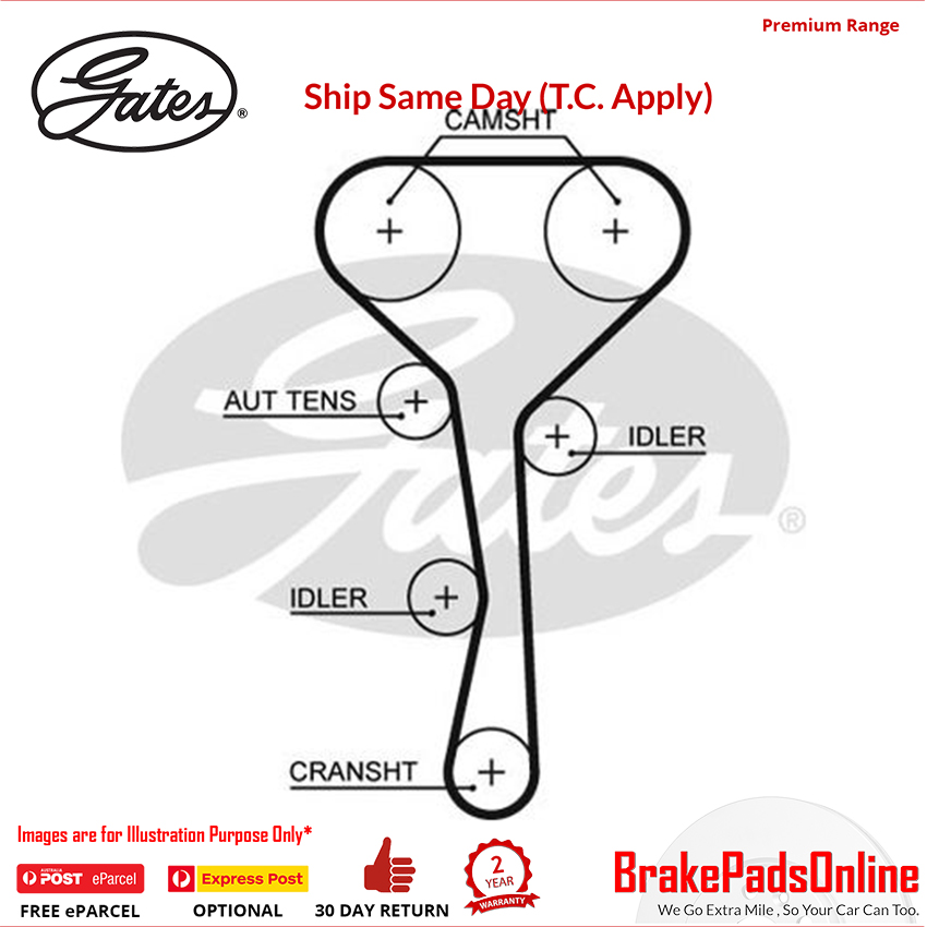 Timing Belt for RENAULT Clio PHASE II CB21/CB22/CB2P - T1284 