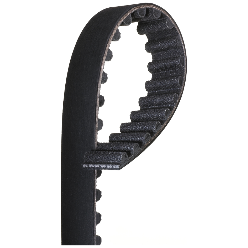 Timing Belt T1555 for FIAT Ducato 10 230